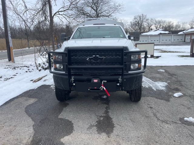 Brush guard and winch