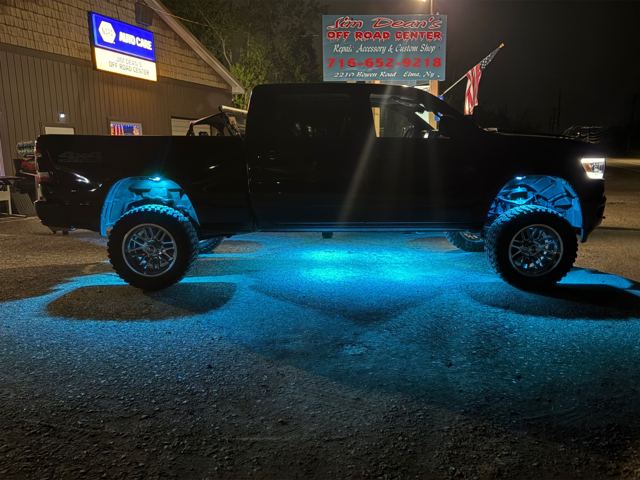 Black Ram with rock lights