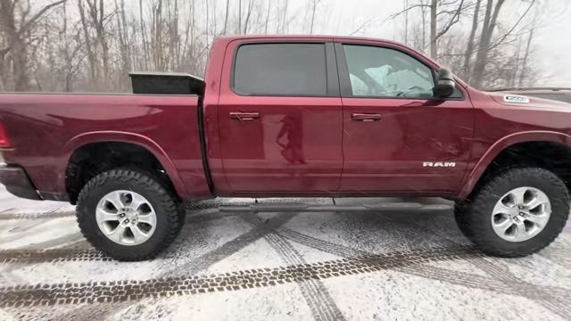 Red Ram in the snow