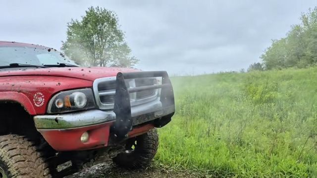 Red pickup with brush guard